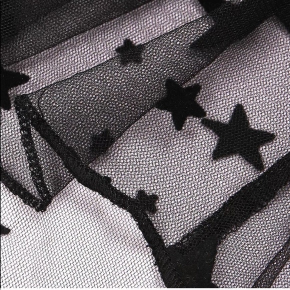 Black Star Sheer Velvet Mesh Crop Top - Picture 3 of 3